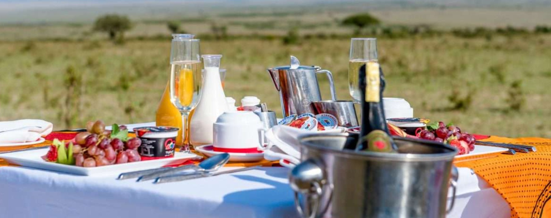 Champagne Breakfast in the Bush_WoA