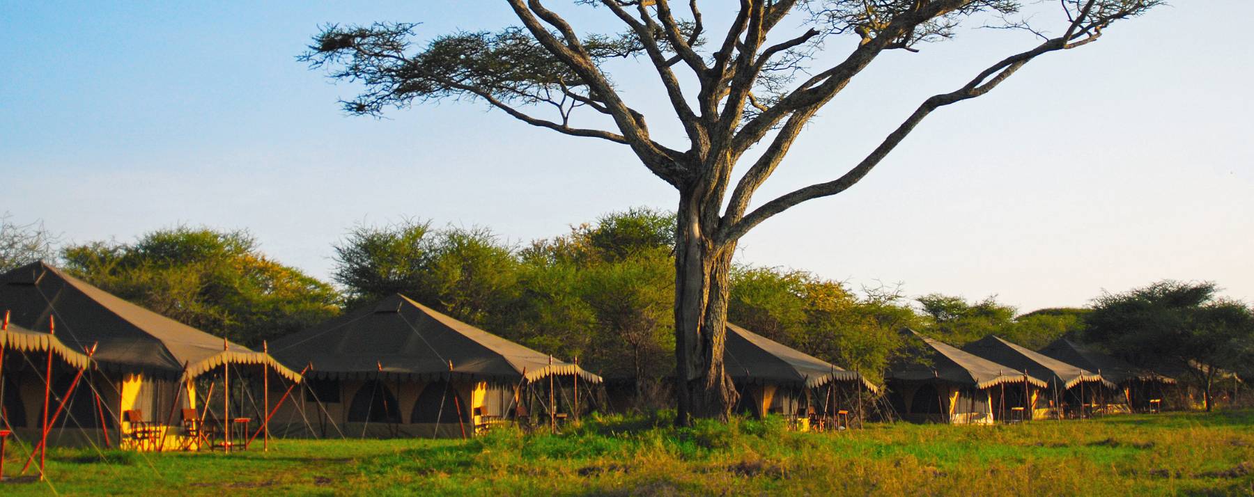 Toilet During Safari in Tanzania